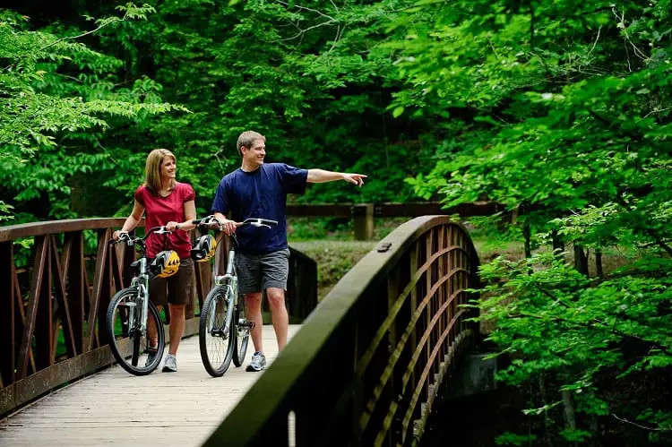 Why Do Bikers Like Bike Riding Vacations?