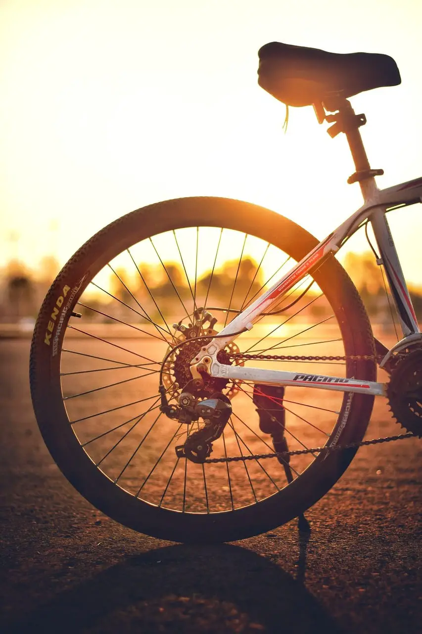 bike rear tire close up in sun shine