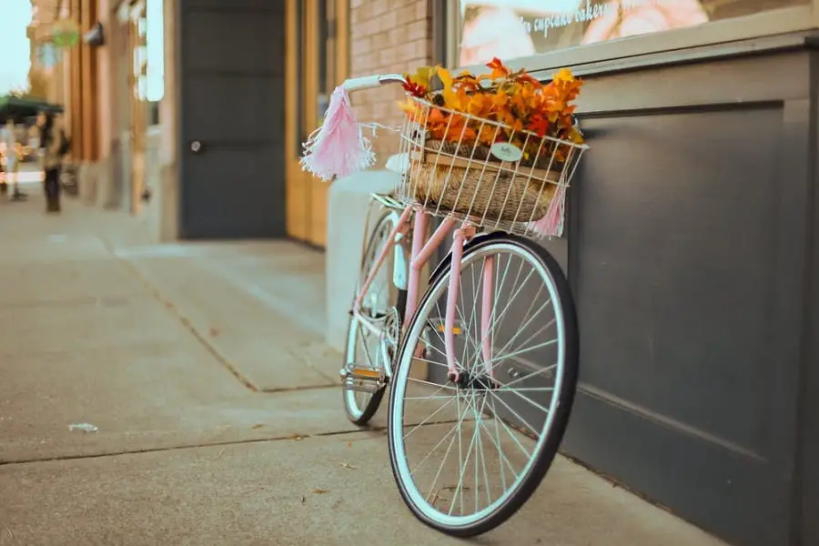 23 Interesting Bike Basket Ideas