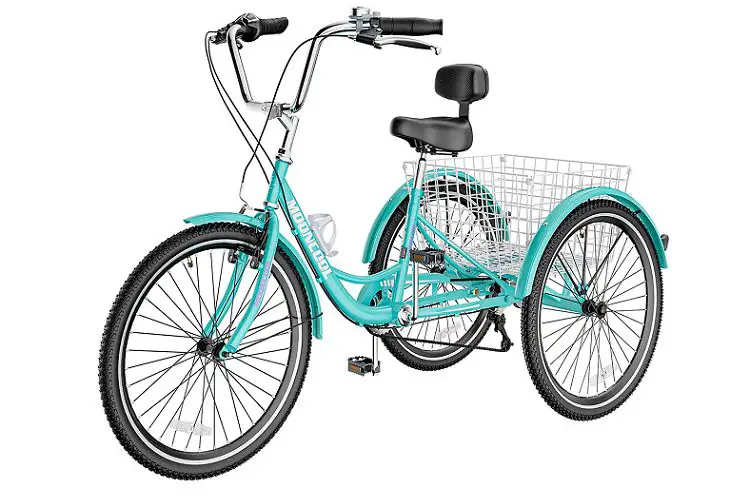 Slsy Adult Tricycle Review